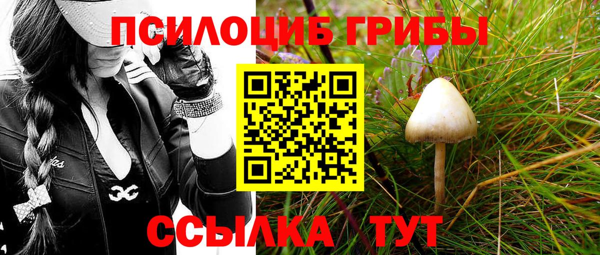 Галлюциногенные грибы Psilocybine cubensis  Галлюциногенные грибы ЛСД  купить  цена  Вход с VPN  Качканар 