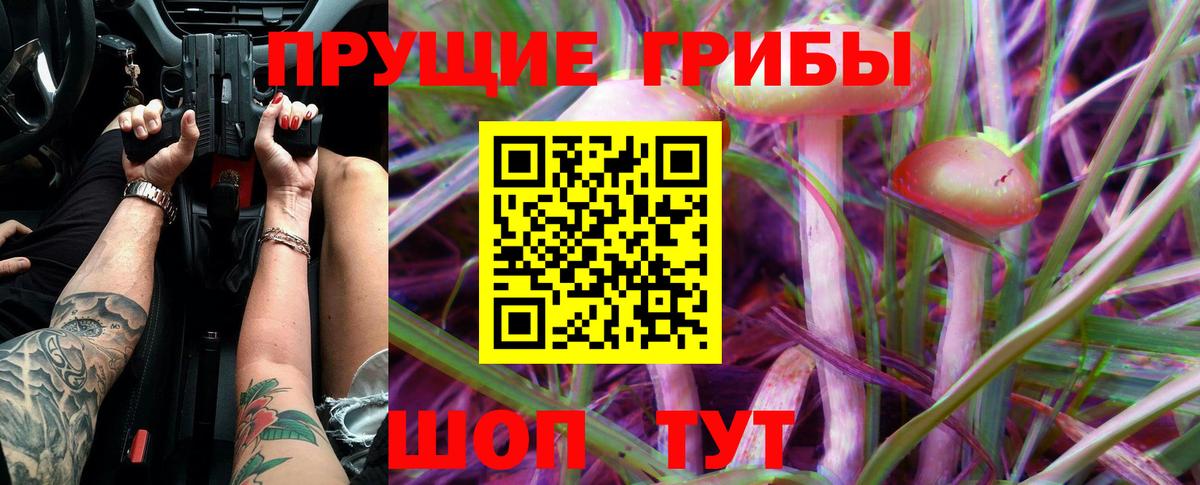 Псилоцибиновые грибы мицелий Качканар