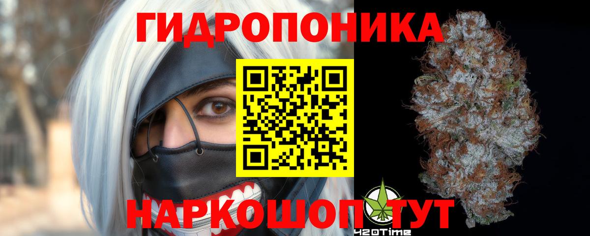 Шишки марихуана гибрид  Марихуана LSD WEED  Качканар  Бошки Шишки Amnesia  МАРИХУАНА план 